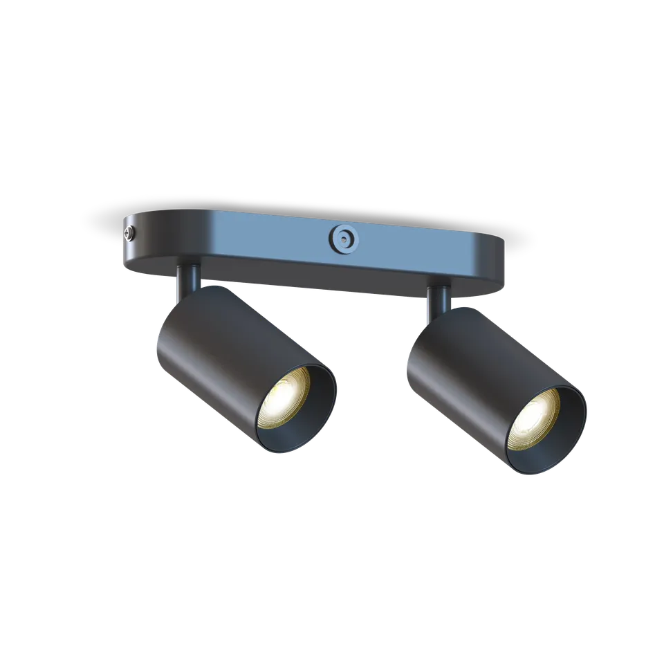 calex-spot-plafonnier-ovale-2x-gu10-noir image 1