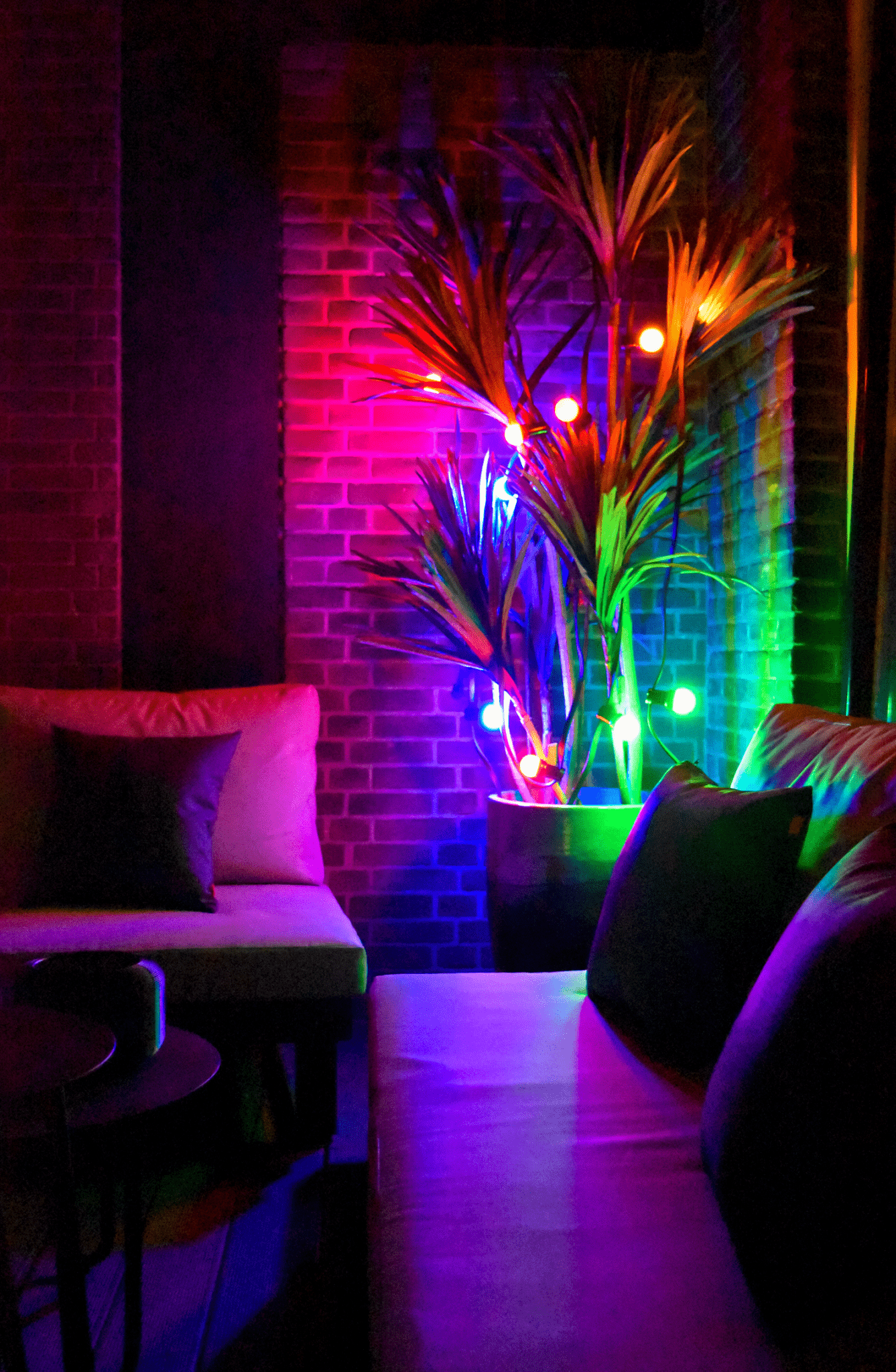 calex-light-cord-guirlande-ext-rieure-10m-10-lampes-couleurs image 5