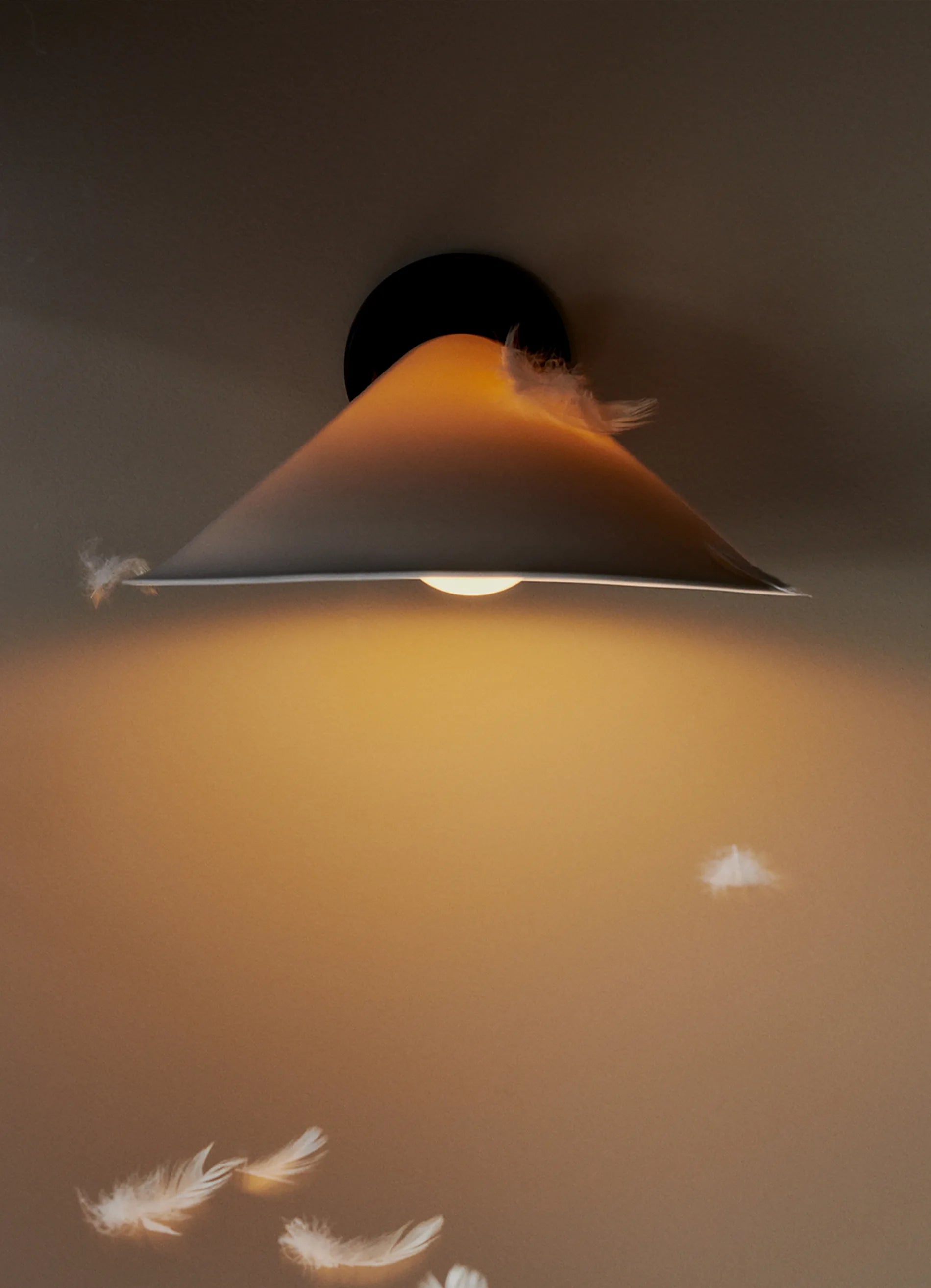 dcw-ditions-plume-applique-murale-base-aluminium image 8