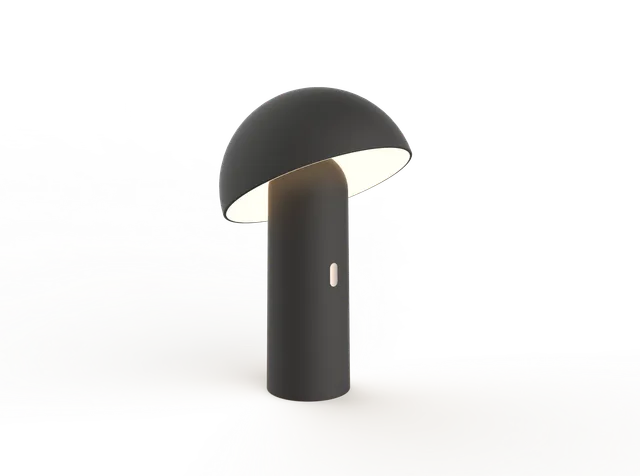 aluminor-capsule-lt-lampe-nomade-rechargeable-sans-fil image 1