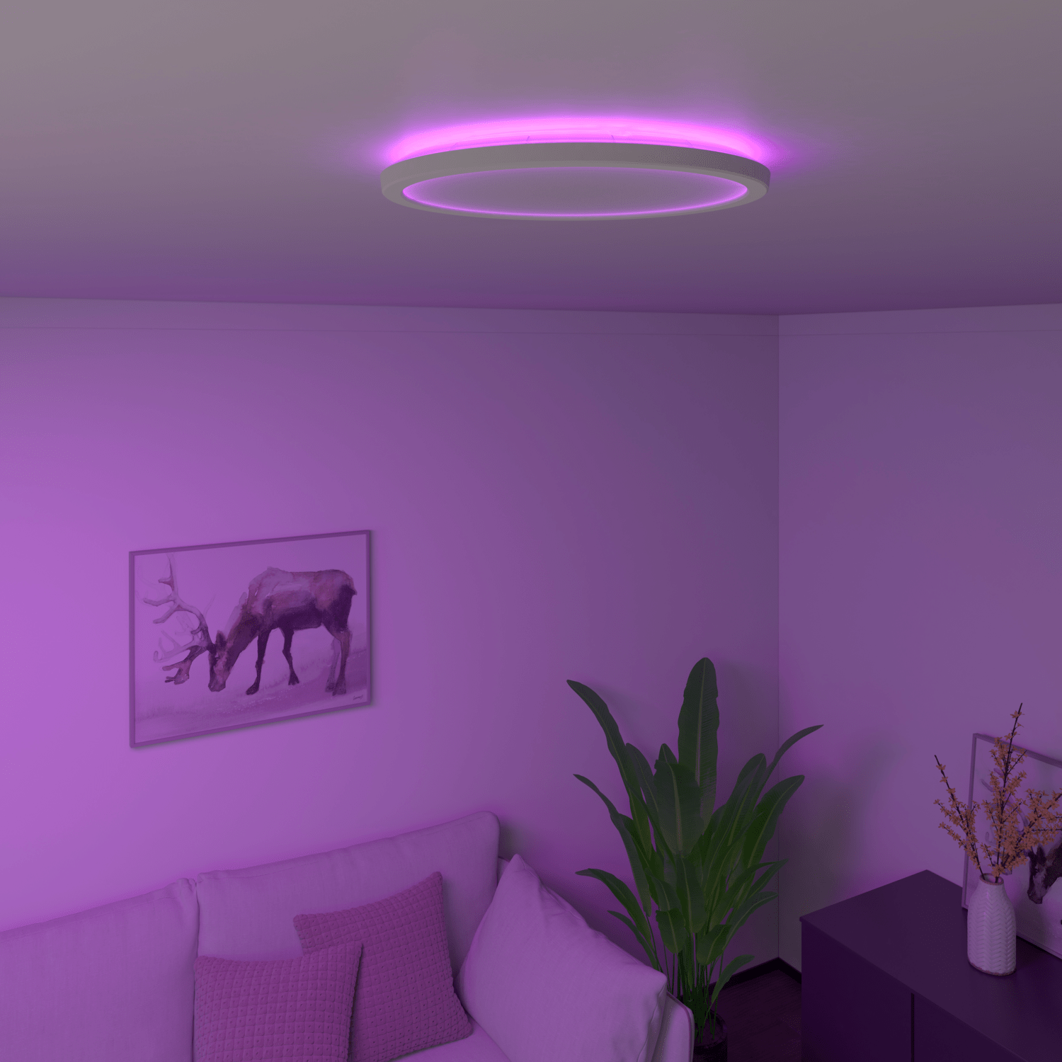 calex-smart-plafonnier-halo-30cm-rgb-cct-blanc image 4