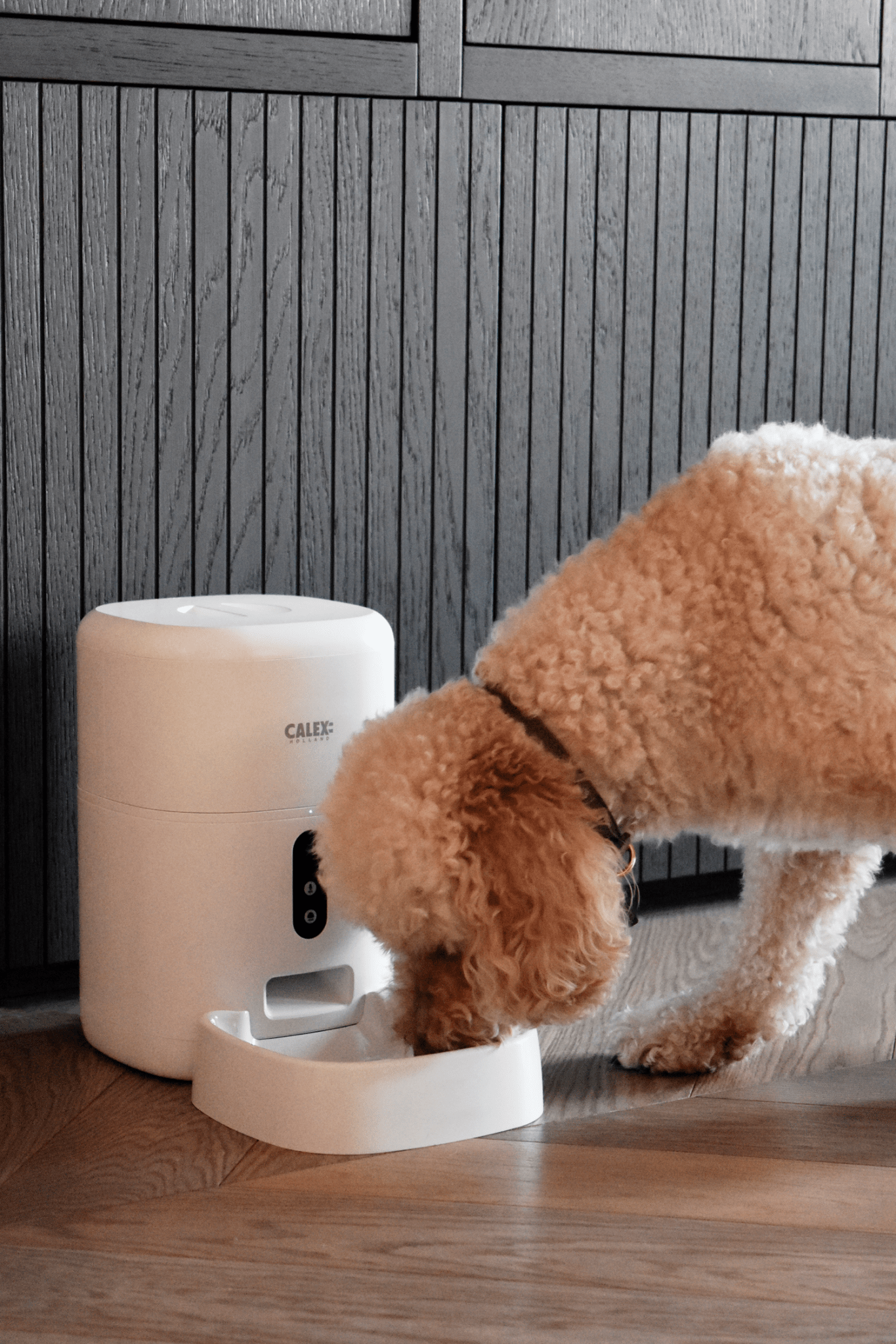 calex-smart-petfeeder-distributeur-croquettes-avec-cam-ra-hd-wifi image 3