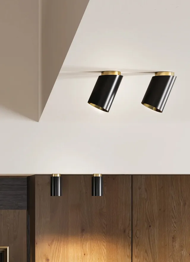 dcw-ditions-tobo-ceiling-85-diag-plafonnier-tubulaire-noir-mat image 1