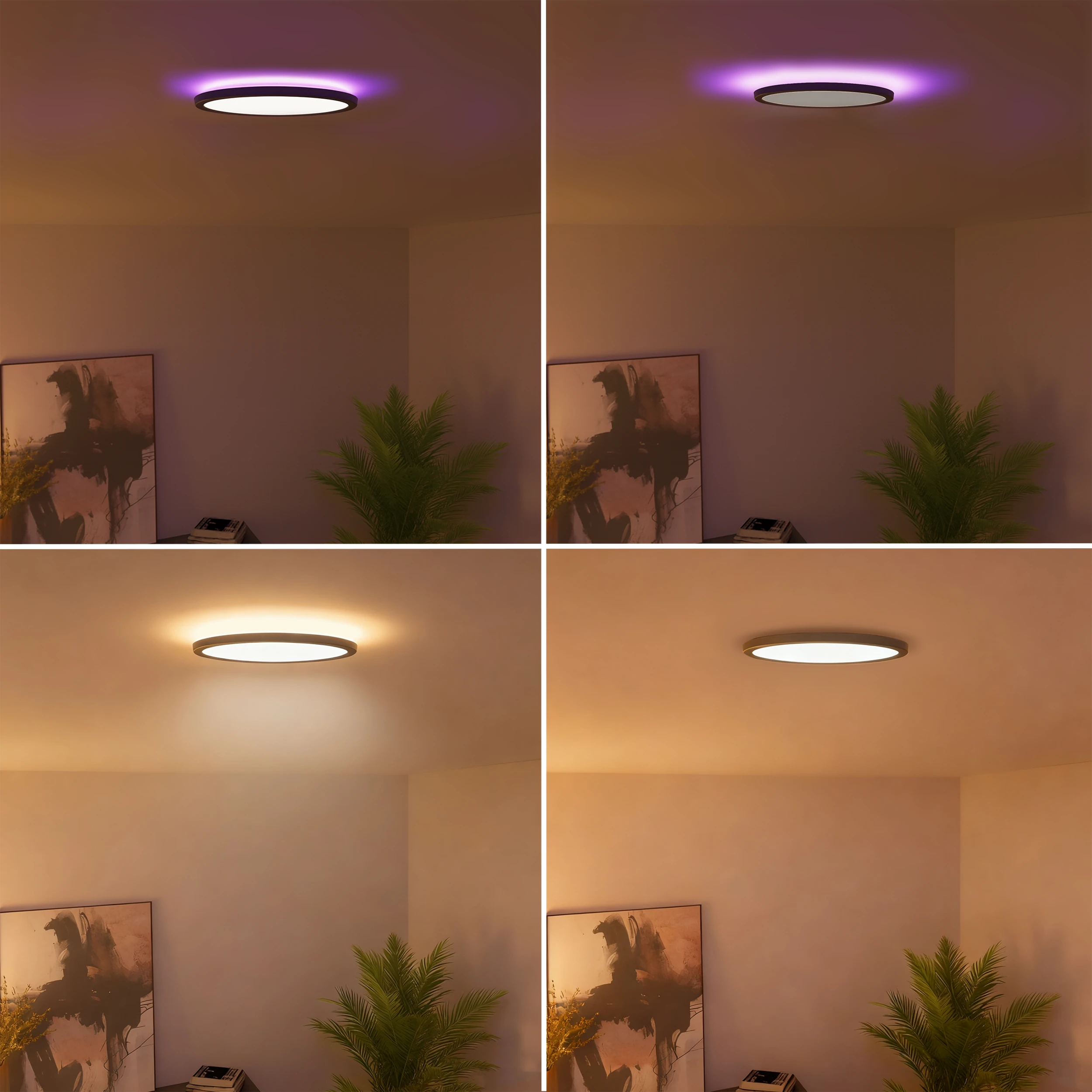 calex-smart-plafonnier-halo-30cm-rgb-cct-noir-ip54 image 7