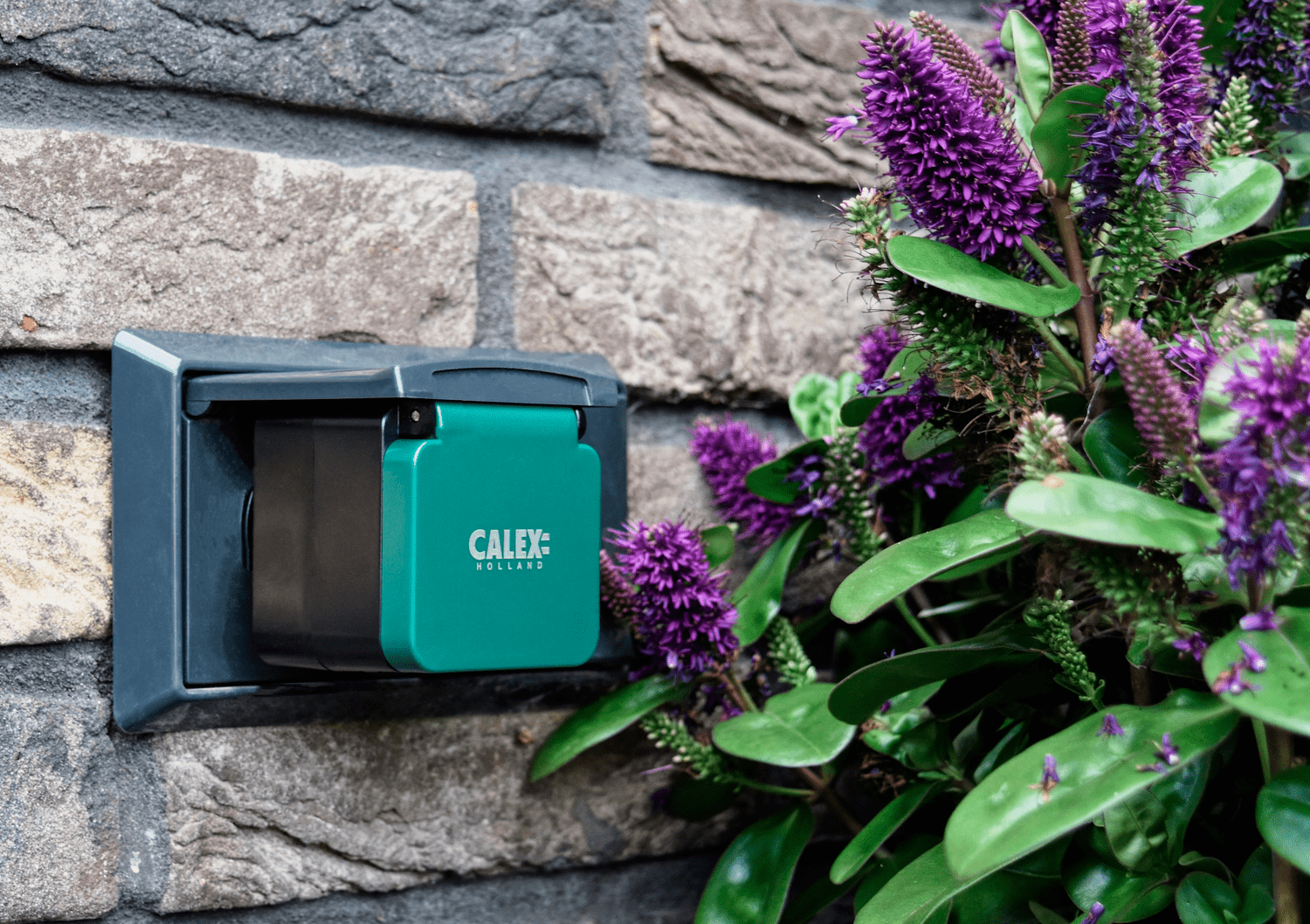 calex-smart-prise-ext-rieure-plug-eu-noir image 3