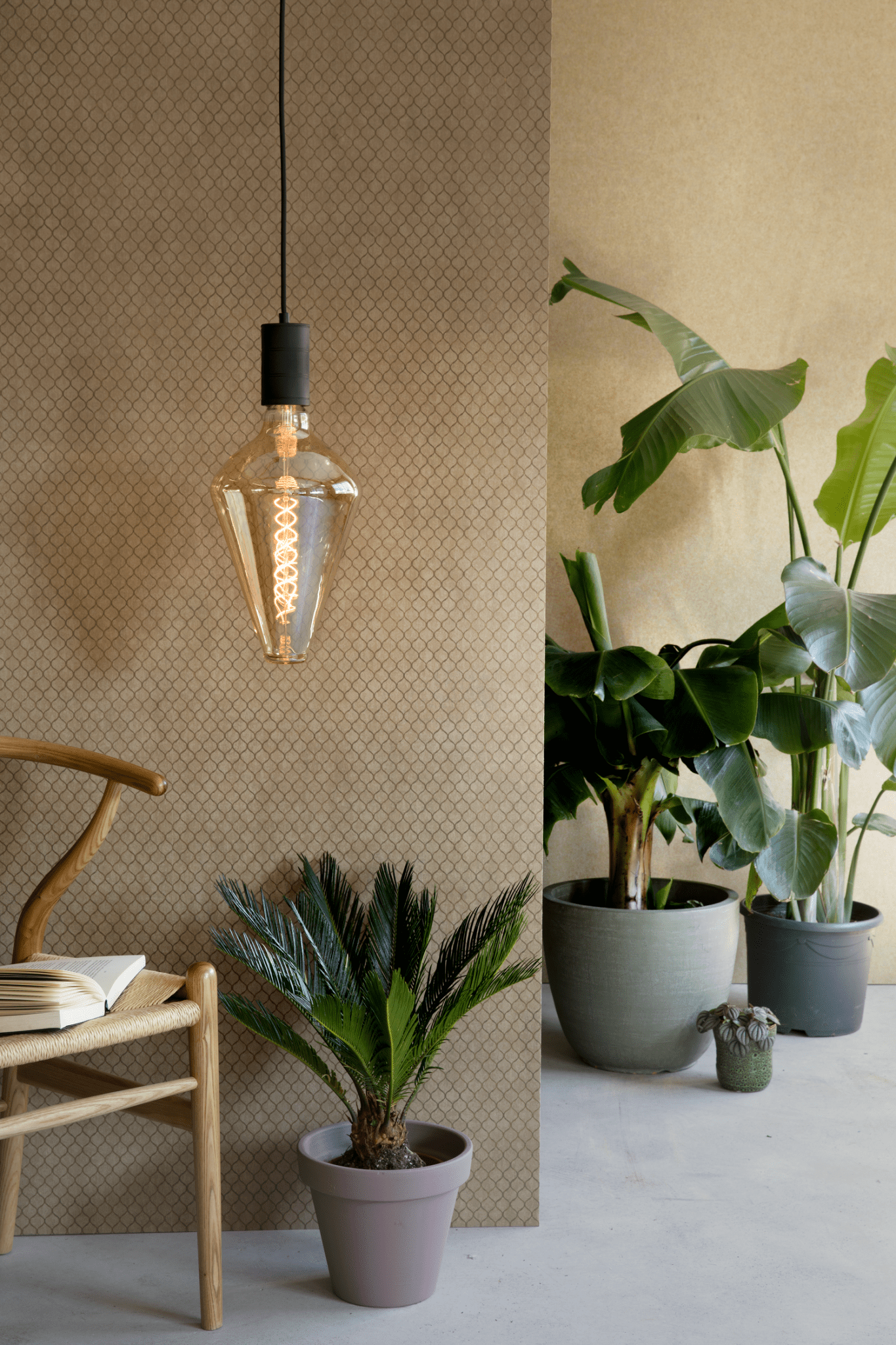 calex-xxl-vienne-ampoule-led-e27-or image 4