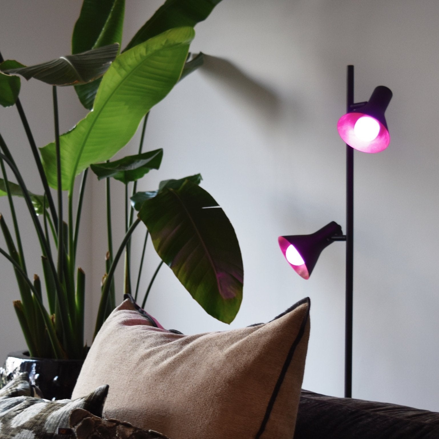 calex-smart-ampoule-led-e14-b35-rgb-cct image 4